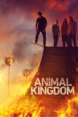 Animal Kingdom - Staffel 6 - Key Art